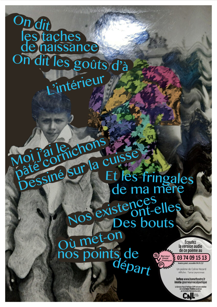 Affiche SVP6_Coline Hezard